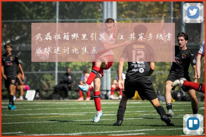 武磊祖籍哪里引发关注 其家乡线索成球迷讨论焦点