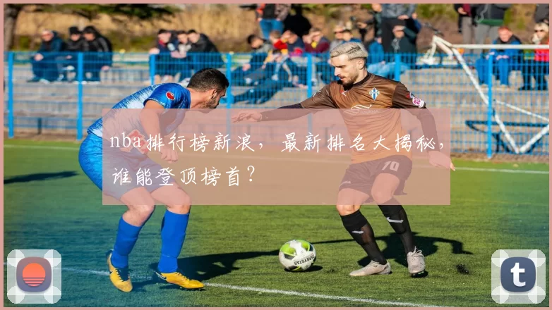 nba排行榜新浪，最新排名大揭秘，谁能登顶榜首？
