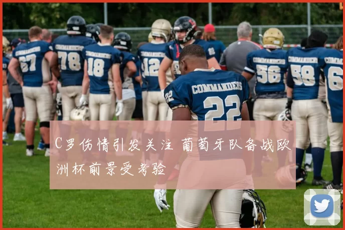 C罗伤情引发关注 葡萄牙队备战欧洲杯前景受考验